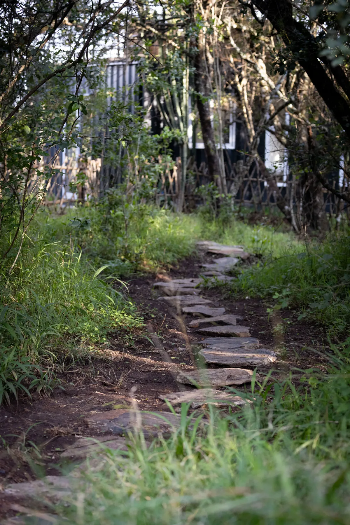 The stone path winding through the forest to the Den