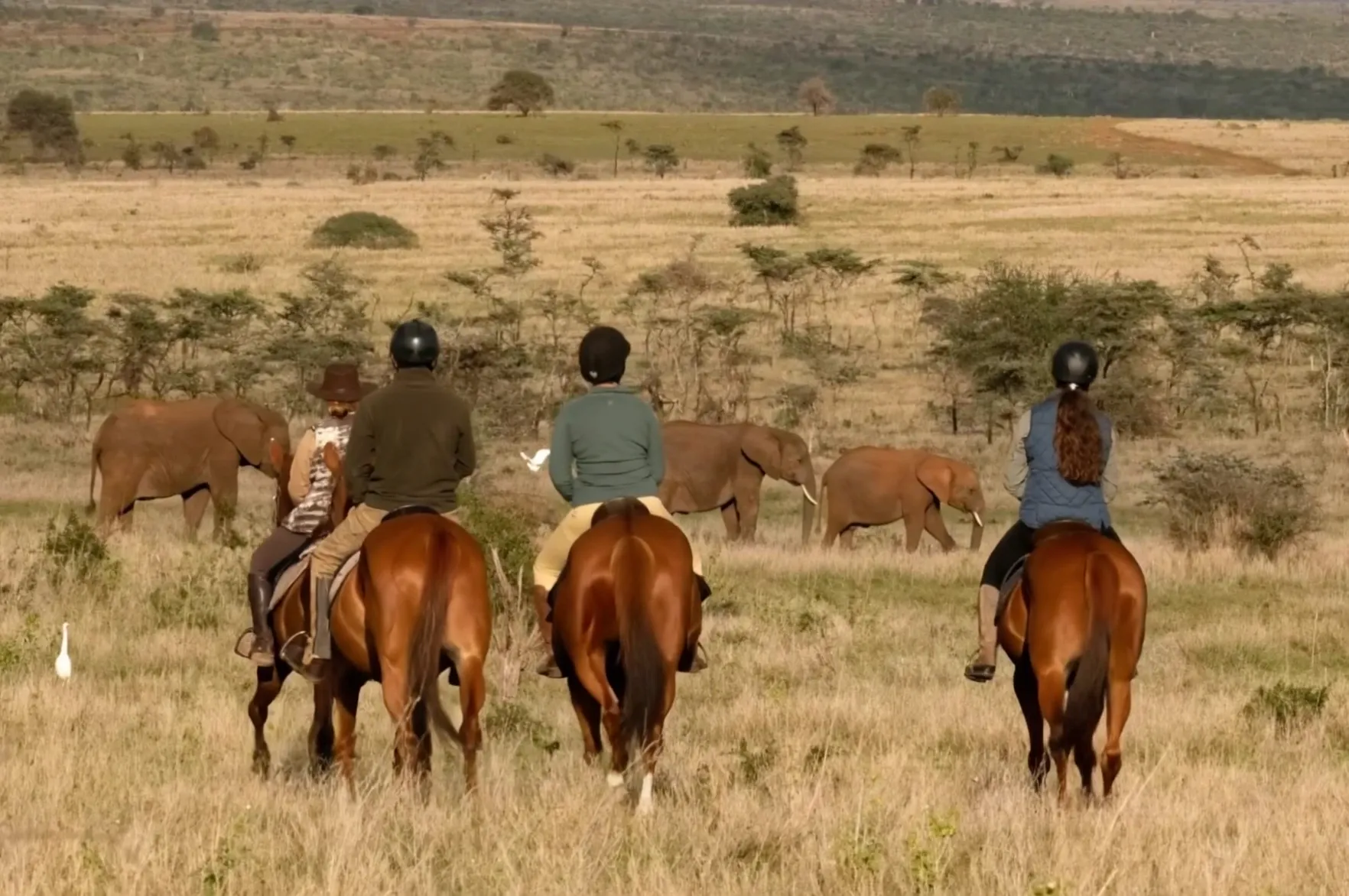 Riding out into the savanna alongside elephants