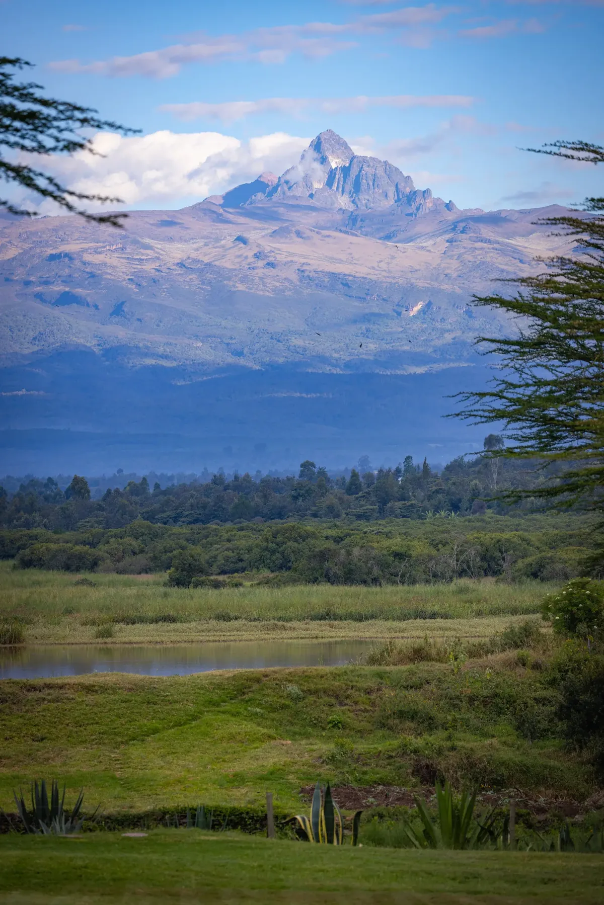 Mount Kenya Safari
