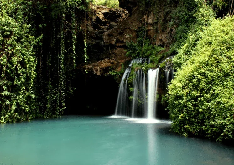 Waterfalls, Wild Pools & Forest