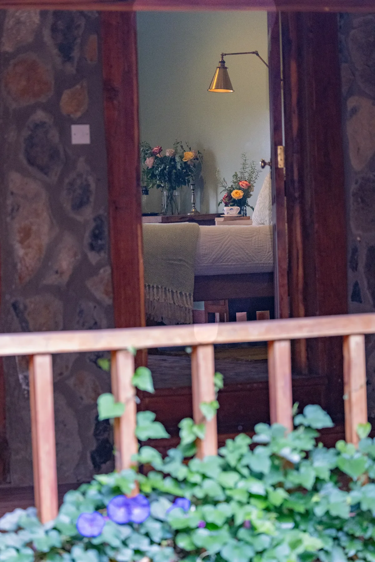 Wild Mint, glimpsed from the veranda through the doorway